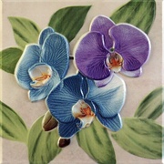 Декор Fabresa Orquideas Placa Decor Malva