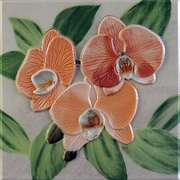 Декор Fabresa Orquideas Placa Decor Naranja