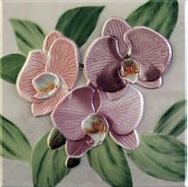 Fabresa Orquideas Placa Decor Rosa