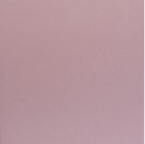 Fabresa Paisley SC Rosa