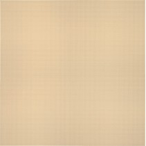 Fanal Infinity Camel
