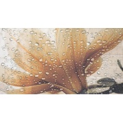 Декор Fanal Ocean crema Dec A