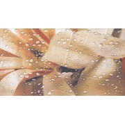 Декор Fanal Ocean crema Dec B