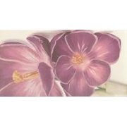Декор Fanal Sensations Blanco Bano 2