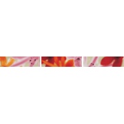 Бордюр Fap Ceramiche Rubacuori Spring Listello Mix 3