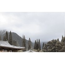 Golden Tile Bamboo Декор 3