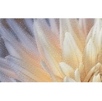 Golden Tile Fiori Декор 1