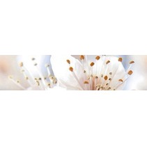 Golden Tile Sakura Бежевый