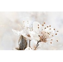 Golden Tile Sakura Декор 1