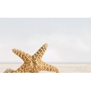 Декор Golden Tile Саммер Стоун Бежевый 3