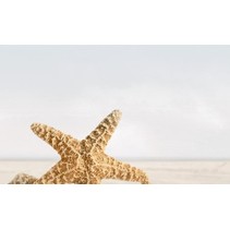 Golden Tile Саммер Стоун Бежевый 3