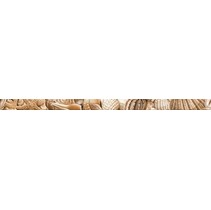 Golden Tile Sea Breeze Shells 1