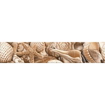 Golden Tile Sea Breeze Shells