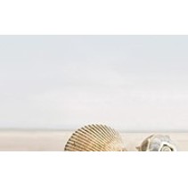 Golden Tile Summer Stone Бежевый 1
