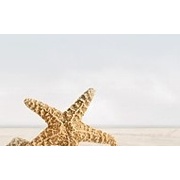 Декор Golden Tile Summer Stone Бежевый 3