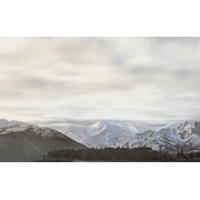 Декор Golden Tile Wanaka Декор 3