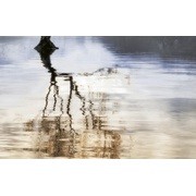 Декор Golden Tile Wanaka Декор 5