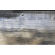 Декор Golden Tile Wanaka Декор 6