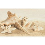 Декор Gracia Ceramica Amalfi Sand