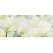 Декор Gracia Ceramica Rapsodia Olive Decor