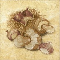 Grupa Paradyz Ada Beige Alfa