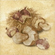 Декор Grupa Paradyz Ada Beige Alfa