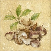 Grupa Paradyz Ada Beige Beta
