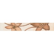 Бордюр Grupa Paradyz Amarylis Brown-2