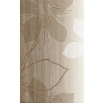 Grupa Paradyz Ambrozja Brown inserto B