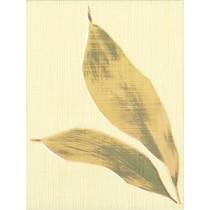 Grupa Paradyz Bambus Bambus Beige