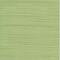 Grupa Paradyz Carioca Alan Verde