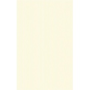 ΠΠ°ΡΡΠ΅Π½Π½Π°Ρ ΠΏΠ»ΠΈΡΠΊΠ° Grupa Paradyz Concert Bianco