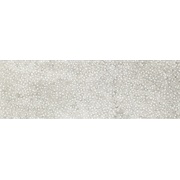 ΠΠ°ΡΡΠ΅Π½Π½Π°Ρ ΠΏΠ»ΠΈΡΠΊΠ° Grupa Paradyz Nirrad/Niro Grys Kropki