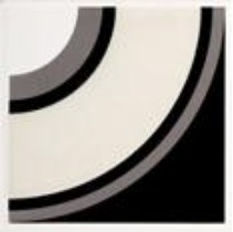 Grupa Paradyz Oxicer Mono B