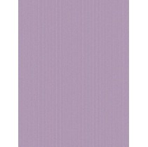 Grupa Paradyz Violino Viola