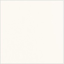Grupa Paradyz Vivida Bianco