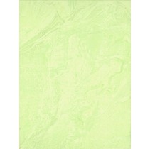 Grupa Paradyz Yasmina Verde
