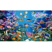 Декор Halcon Ceramicas Acuarious Colours Acuarious