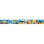 Бордюр Halcon Ceramicas Acuarious Colours Acuarious List.