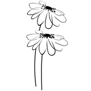 Декор Halcon Ceramicas Blancos Decor Flor Blanco