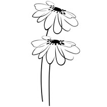 Halcon Ceramicas Blancos Decor Flor Blanco