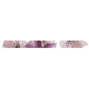 Бордюр Halcon Ceramicas Cocktail L.Romance-2 Lila