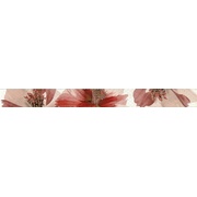 Бордюр Halcon Ceramicas Cocktail L.Romance-2 Vino