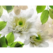 Панно Halcon Ceramicas Evoque Decor Blanco 2pz
