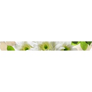 Бордюр Halcon Ceramicas Evoque Listello Pistacho