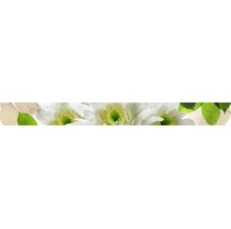 Halcon Ceramicas Evoque Listello Pistacho