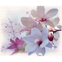 Halcon Ceramicas Fresh Fresh Decor Dana 2pz
