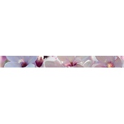 Бордюр Halcon Ceramicas Fresh Fresh Listelo Dana