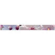 Halcon Ceramicas Fresh Fresh Listelo Dana