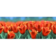 Декор Halcon Ceramicas Holanda Decor Colours